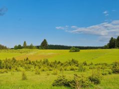Данас претежно сунчано