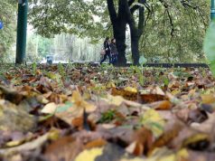 Сутра облачно, понегдје уз кишу