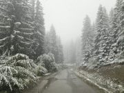 Сутра облачно уз падавине