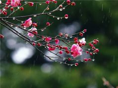 Данас промјенљиво облачно, повремено са кишом