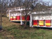 Романијски мед заштићен ознаком поријекла
