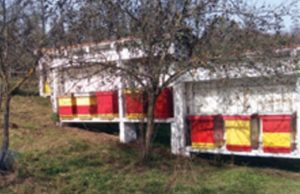 Романијски мед заштићен ознаком поријекла