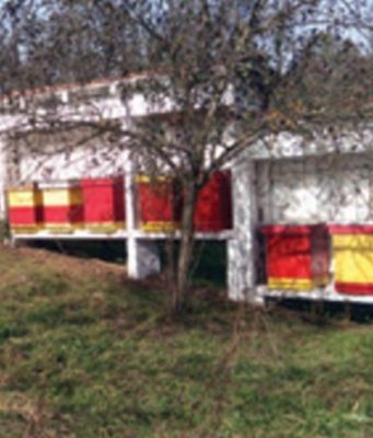 Романијски мед заштићен ознаком поријекла