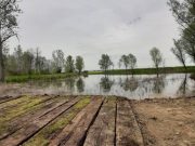 Сутра топлије уз кишу и појачан југо