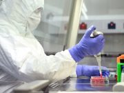Научници у Русији идентификовали 30 нових вируса које преносе комарци и крпељи