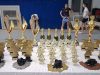 Међународни џиу – џицу турнир на Палама окупио 600 такмичара (Видео)