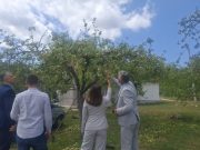 Олуја и град изазвали велику материјалну штету у Херцеговини, из Владе Српске најављена помоћ (ФОТО/ВИДЕО)