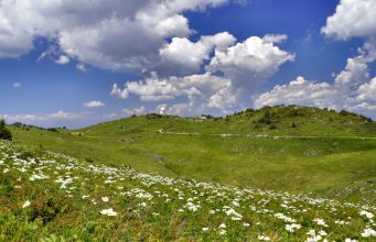 Дани љекобиља на Јахорини