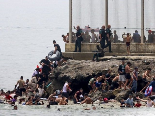 migranti