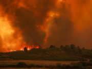 Не смирују се шумски пожари широм Европе, најављен нови топлотни талас (ВИДЕО)