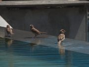 Сутра сунчано и топло