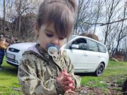 Обустављен поступак против Радослава Драгијевића