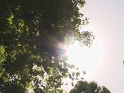 Данас сунчано и вруће, послије подне могуће падавине