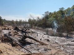 Ситуација боља у Делиблатској пешчари и на Столовима