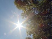 И данас сунчано и вруће, могућа слаба киша