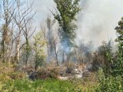 Поново активан пожар у Амајлијама, ватра и према Павловића путу (ФОТО)