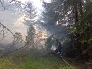 На Требевићу букте нова пожаришта, објекти и животи људи нису угрожени (ФОТО/ВИДЕО)