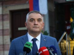 Минић: Српска у свијет пласира истину о ситуацији у БиХ