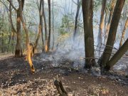 Активно више пожара, најтежа ситуација на подручју Билеће