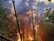 Велики пожар у Горњој Пискавици код Бањалуке, пламен пријетио кућама