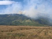 Под контролом пожари у Скиповцу и Осојници