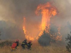 На Бјелашници активан пожар, куће и објекти за сада нису угрожени