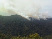 Три шумска пожара у Теслићу изазвана громом