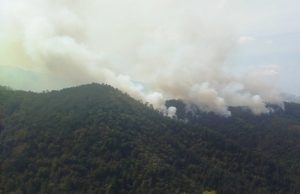 Три шумска пожара у Теслићу изазвана громом