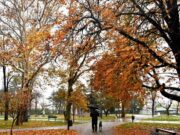 Данас понегдје киша, температура до 30 степени