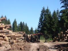 ЈПШ „Шуме Републике Српске“ Соколац успјешно прошло годишњу FSC контролу
